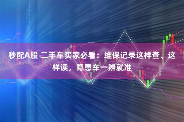 秒配A股 二手车买家必看：维保记录这样查、这样读，隐患车一辨就准